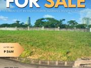 FOR SALE: Prime vacant lot in PALMS POINTE ALABANG