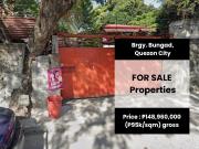 FOR SALE: Properties in Brgy. Bungad, Quezon City