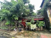 • FOR SALE Property with Old House in Blue Ridge A Subd...