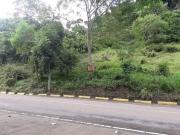 For Sale Rawland 7,000 sqm in Busay Cebu City