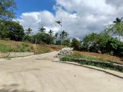 For Sale Residential Farm lot near Tagaytay Nasugbu...