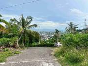 FOR SALE: Residential Lot