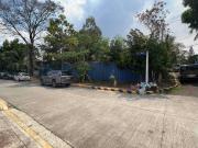 For Sale Corner Residential Lot for sale in Newport St....