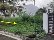 For Sale: Residential Lot in Greenwoods Executive...