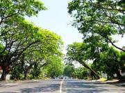 FOR SALE Residential Vacant Lot in Ayala Alabang...