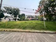 FOR SALE Residential Vacant Lot in Ayala Alabang...