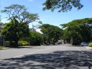 FOR SALE Residential Vacant Lot in Ayala Alabang...