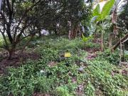 FOR SALE Residential Vacant Lot in Capitol Golfers...