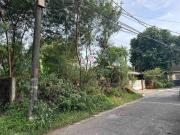FOR SALE Residential Vacant Lot in Marcelo Green,...