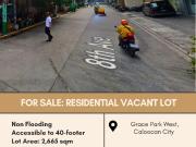 FOR SALE Residential VacantLot located at Grace Park...
