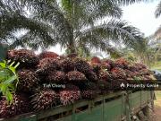 FOR SALE RM125k KOTA TINGGI