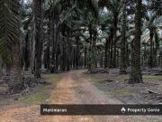 FOR SALE – [SLC 0357] 1138 Acres Mega Land – Kg Baru...