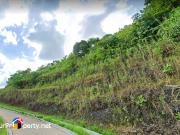 For Sale Spacious Lot in Guadalupe Cebu City