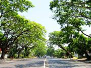 FOR SALE: Super Prime Ayala Alabang IMPROVED PRICE ₱185k...