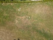 For Sale The Enclave Alabang Lot for sale near Alabang...