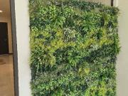 FOR SALE: TOWNHOUSE IN MANILA Walking distance to DLSU...