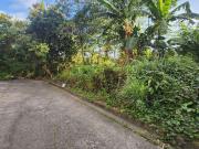 For Sale: Vacant lot at South Greenpark, Merville, Paranaque