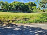 FOR SALE: Vacant Lot in Ayala Alabang