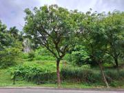 For Sale: Vacant Lot in Ayala Hillside Estates, Quezon City