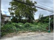 FOR SALE: Vacant Lot in BF Homes