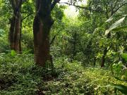 FOR SALE Vacant Lot in Eastland Heights, Antipolo City