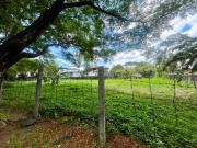 For Sale: Vacant Lot in Loyola Grand Villas, Quezon City