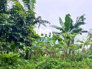 For Sale: Vacant Lot in Mira Nila Homes, Quezon City