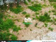 For Sale: Vacant Lot in Xavierville Subdivision, Quezon City
