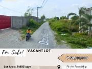 FOR SALE Vacant Lot located in Fil Am Friendship...