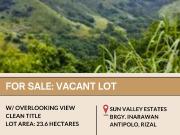 FOR SALE Vacant Lot located in Sun Valley Estates, Brgy....