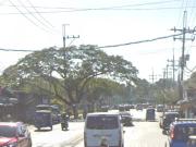 For Sale Vacant Lot Residential