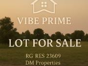 For Sale: Vacant Lots at Mindanao Avenue