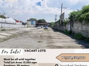 FOR SALE Vacant lots located at Sucat Road, Parañaque City