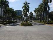 FOR SALE With old house in Ayala Alabang Village,...