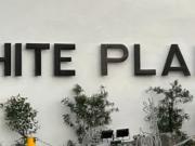 FOR SALE With old house in White Plains Subd Brgy. White...