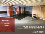 For Sale/Lease: Commercial Property in Sta. Mesa, Manila