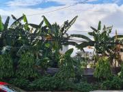 FOR SALE/LEASE Vacant Lot in San Antonio Village, Brgy....