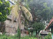 FOR SALE/LEASE With old house in Del Nacia 4, Brgy....