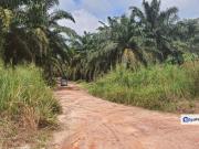 For Segamat kelapa sawit Agriculture Land