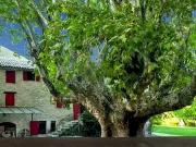 Forcalquier 04300 Achat / Vente maison 16 pièces t16 cave