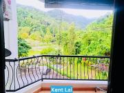 Forest Field Pulau Tikus Near Lorong Air Terjun Fully...