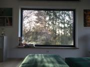 Forest Island Heidelberg Old Town, Heidelberg Amsterdam...