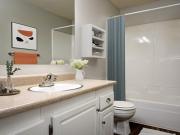 Forest Ridge Sequoia