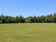 Forest View Dr Lot,charleston, Plot For Sale