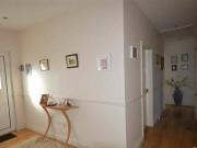 forest view raheenaskeagh upper raheenduff gorey wexford