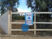 Foresta de Zapallar con 2 cabañas en obra