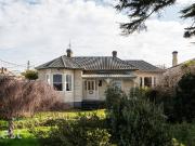 Forevermore Federation!