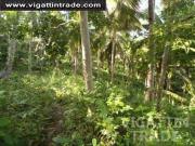 Forsale land A 36,456 Sqm In Carabao Island