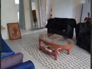 Fort de France Location Appartement 97