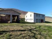 Vendesi intero podere agricolo a fossombrone, immerso...